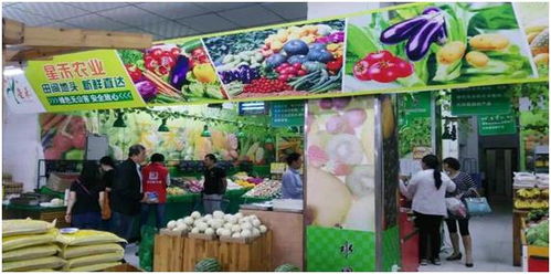 西安同城工廠蔬菜配送服務(wù) 助力自助餐廳實現(xiàn)高效供應(yīng)鏈管理