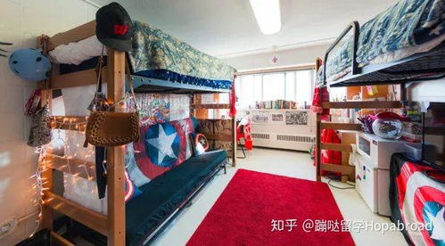 舌尖上的威斯康星 麥迪遜分校快餐文化中的學術(shù)與活力